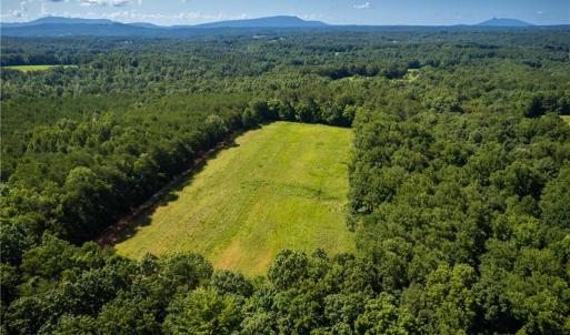 Photo #7 of 1135 Daisy Creek Farm, Westfield, NC 57.6 acres