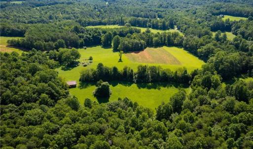 Photo #3 of 1135 Daisy Creek Farm, Westfield, NC 57.6 acres