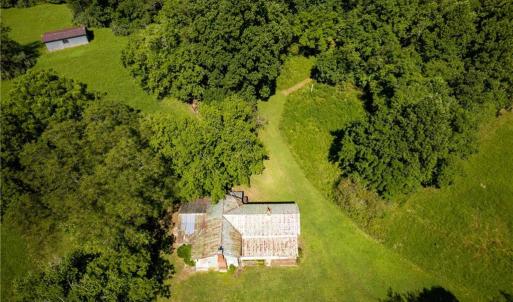Photo #36 of 1135 Daisy Creek Farm, Westfield, NC 57.6 acres