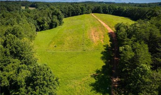 Photo #5 of 1135 Daisy Creek Farm, Westfield, NC 57.6 acres