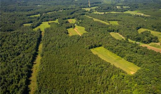 Photo #20 of 1135 Daisy Creek Farm, Westfield, NC 57.6 acres