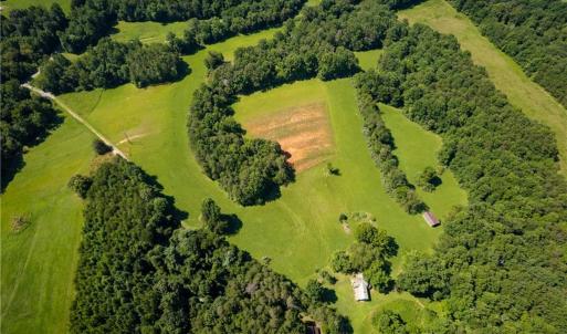 Photo #24 of 1135 Daisy Creek Farm, Westfield, NC 57.6 acres