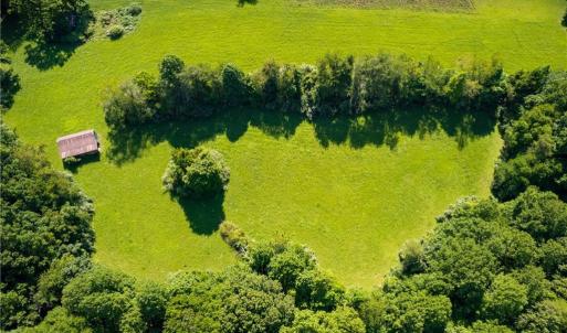 Photo #10 of 1135 Daisy Creek Farm, Westfield, NC 57.6 acres