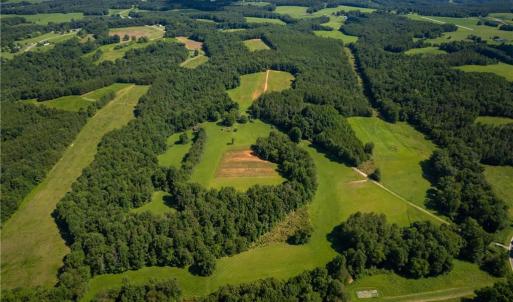 Photo #18 of 1135 Daisy Creek Farm, Westfield, NC 57.6 acres