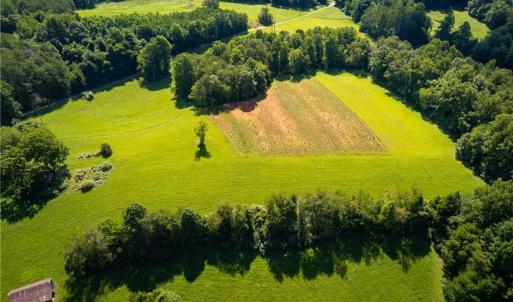 Photo #11 of 1135 Daisy Creek Farm, Westfield, NC 57.6 acres