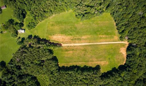 Photo #19 of 1135 Daisy Creek Farm, Westfield, NC 57.6 acres