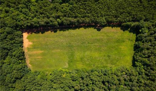 Photo #4 of 1135 Daisy Creek Farm, Westfield, NC 57.6 acres