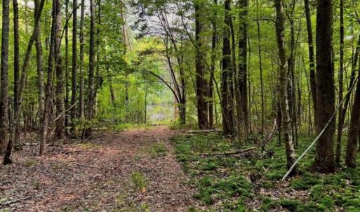 Photo #6 of 6638 Holts Store, Julian, NC 52.6 acres