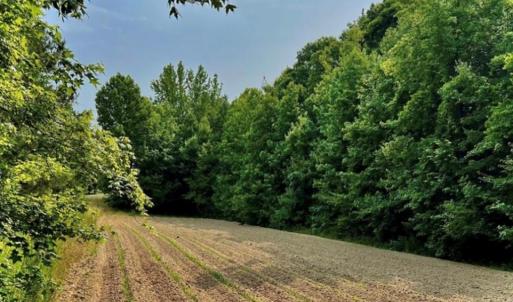 Photo #3 of 6638 Holts Store, Julian, NC 52.6 acres
