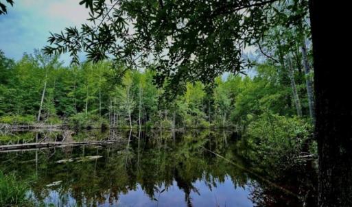 Photo #9 of 6638 Holts Store, Julian, NC 52.6 acres