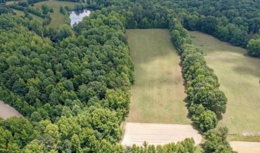 Photo #4 of 6638 Holts Store, Julian, NC 52.6 acres