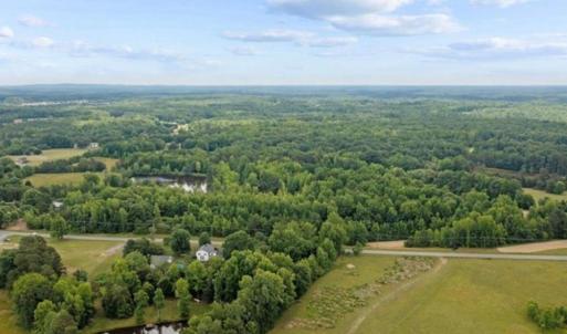 Photo #8 of 6638 Holts Store, Julian, NC 52.6 acres