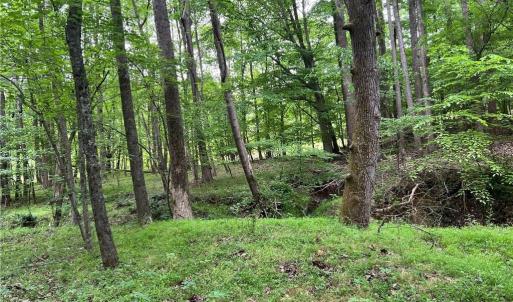 Photo #2 of Jones, Winston-Salem, NC 21.0 acres