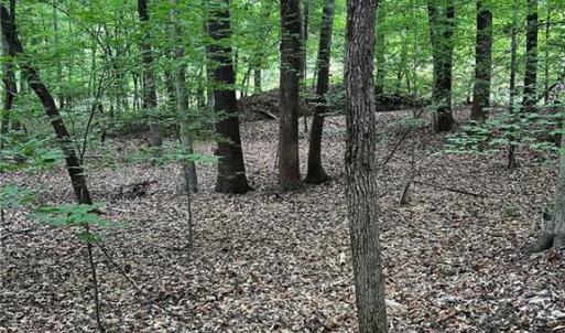 Photo #1 of Jones, Winston-Salem, NC 21.0 acres