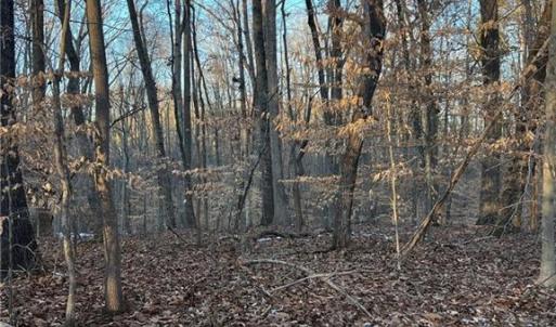 Photo #4 of Jones, Winston-Salem, NC 21.0 acres