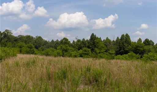 Photo #6 of Joyce Woodworks, Sandy Ridge, NC 18.9 acres