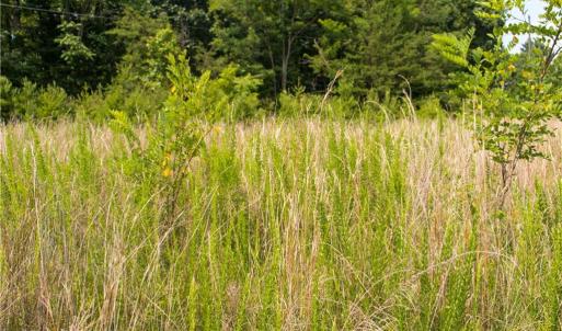 Photo #13 of Joyce Woodworks, Sandy Ridge, NC 18.9 acres