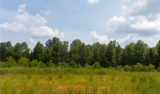 Photo #16 of Joyce Woodworks, Sandy Ridge, NC 18.9 acres