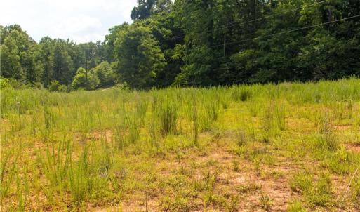 Photo #12 of Joyce Woodworks, Sandy Ridge, NC 18.9 acres