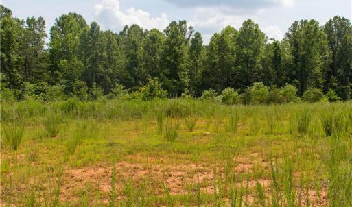 Photo #7 of Joyce Woodworks, Sandy Ridge, NC 18.9 acres