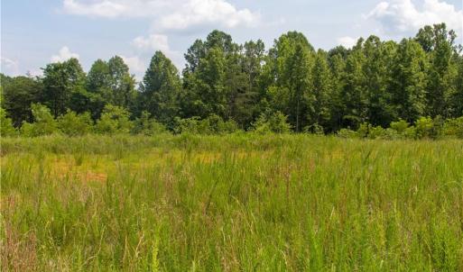 Photo #3 of Joyce Woodworks, Sandy Ridge, NC 18.9 acres