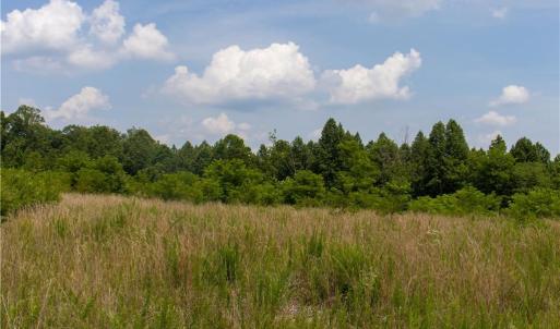 Photo #5 of Joyce Woodworks, Sandy Ridge, NC 18.9 acres