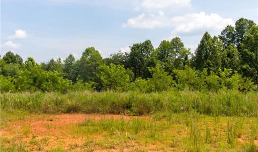 Photo #9 of Joyce Woodworks, Sandy Ridge, NC 18.9 acres