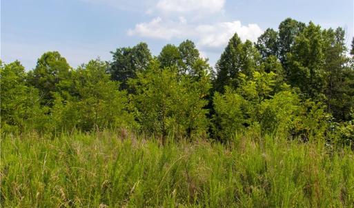 Photo #10 of Joyce Woodworks, Sandy Ridge, NC 18.9 acres