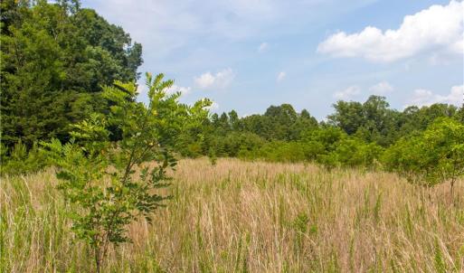 Photo #14 of Joyce Woodworks, Sandy Ridge, NC 18.9 acres
