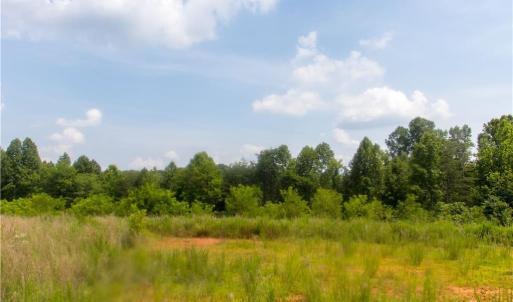 Photo #15 of Joyce Woodworks, Sandy Ridge, NC 18.9 acres
