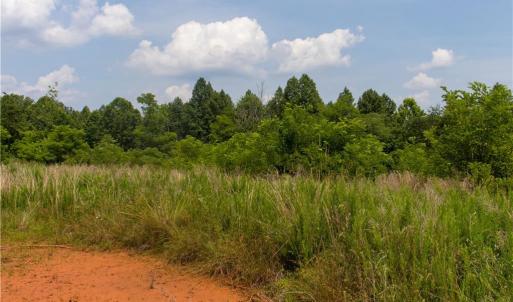 Photo #11 of Joyce Woodworks, Sandy Ridge, NC 18.9 acres