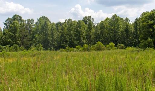 Photo #4 of Joyce Woodworks, Sandy Ridge, NC 18.9 acres