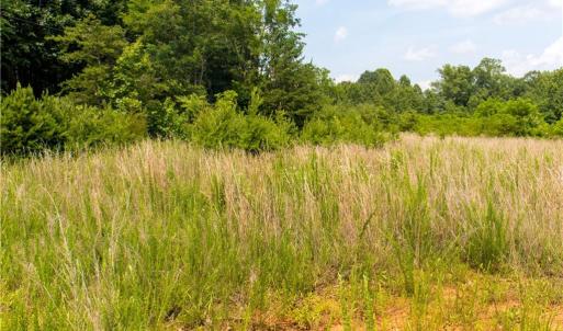 Photo #8 of Joyce Woodworks, Sandy Ridge, NC 18.9 acres