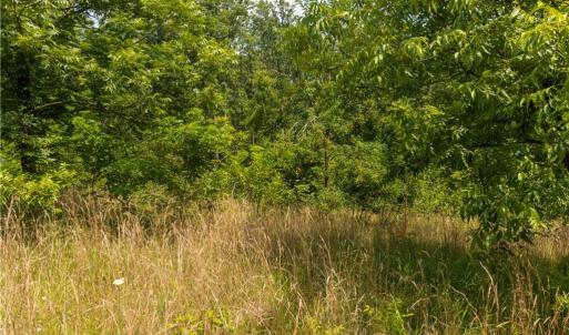 Photo #2 of Joyce Woodworks, Sandy Ridge, NC 23.1 acres