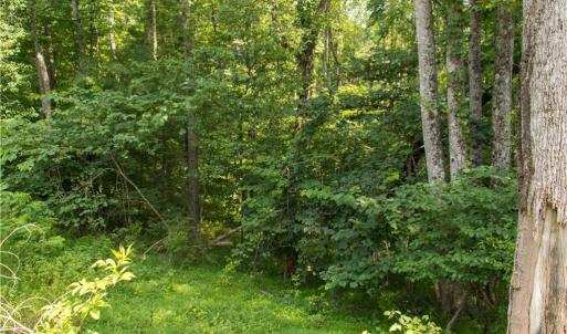 Photo #13 of Joyce Woodworks, Sandy Ridge, NC 23.1 acres