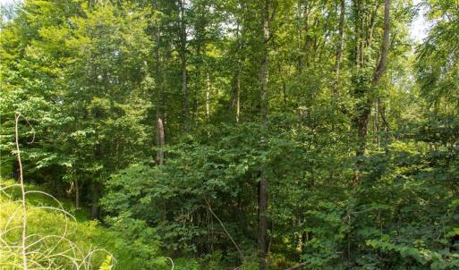 Photo #17 of Joyce Woodworks, Sandy Ridge, NC 23.1 acres