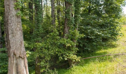 Photo #16 of Joyce Woodworks, Sandy Ridge, NC 23.1 acres