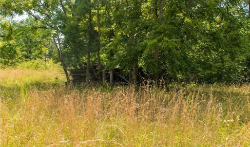 Photo #7 of Joyce Woodworks, Sandy Ridge, NC 23.1 acres