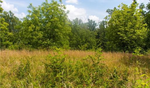 Photo #3 of Joyce Woodworks, Sandy Ridge, NC 23.1 acres