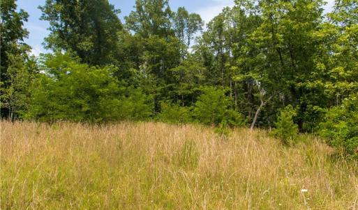 Photo #5 of Joyce Woodworks, Sandy Ridge, NC 23.1 acres