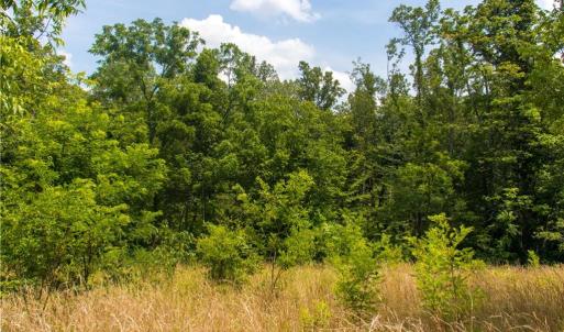 Photo #9 of Joyce Woodworks, Sandy Ridge, NC 23.1 acres