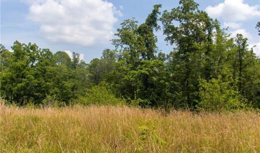 Photo #10 of Joyce Woodworks, Sandy Ridge, NC 23.1 acres
