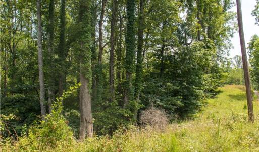 Photo #18 of Joyce Woodworks, Sandy Ridge, NC 23.1 acres