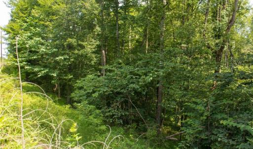 Photo #15 of Joyce Woodworks, Sandy Ridge, NC 23.1 acres