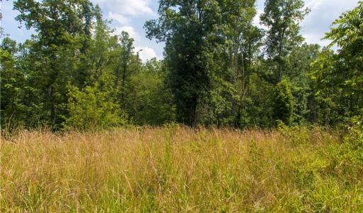 Photo #11 of Joyce Woodworks, Sandy Ridge, NC 23.1 acres