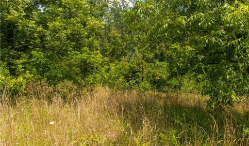 Photo #4 of Joyce Woodworks, Sandy Ridge, NC 23.1 acres