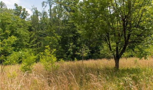 Photo #8 of Joyce Woodworks, Sandy Ridge, NC 23.1 acres