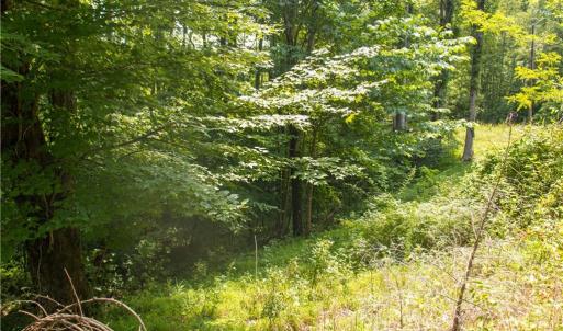 Photo #25 of Joyce Woodworks, Sandy Ridge, NC 23.1 acres