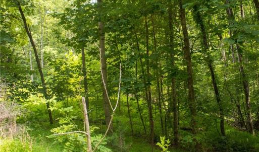 Photo #21 of Joyce Woodworks, Sandy Ridge, NC 23.1 acres