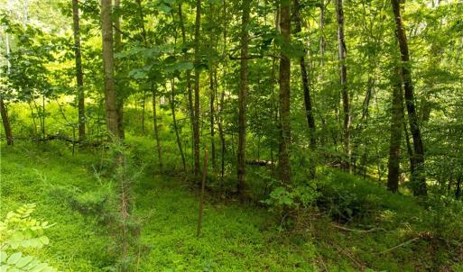 Photo #38 of 000  Lot Joyce Woodworks, Sandy Ridge, NC 23.1 acres